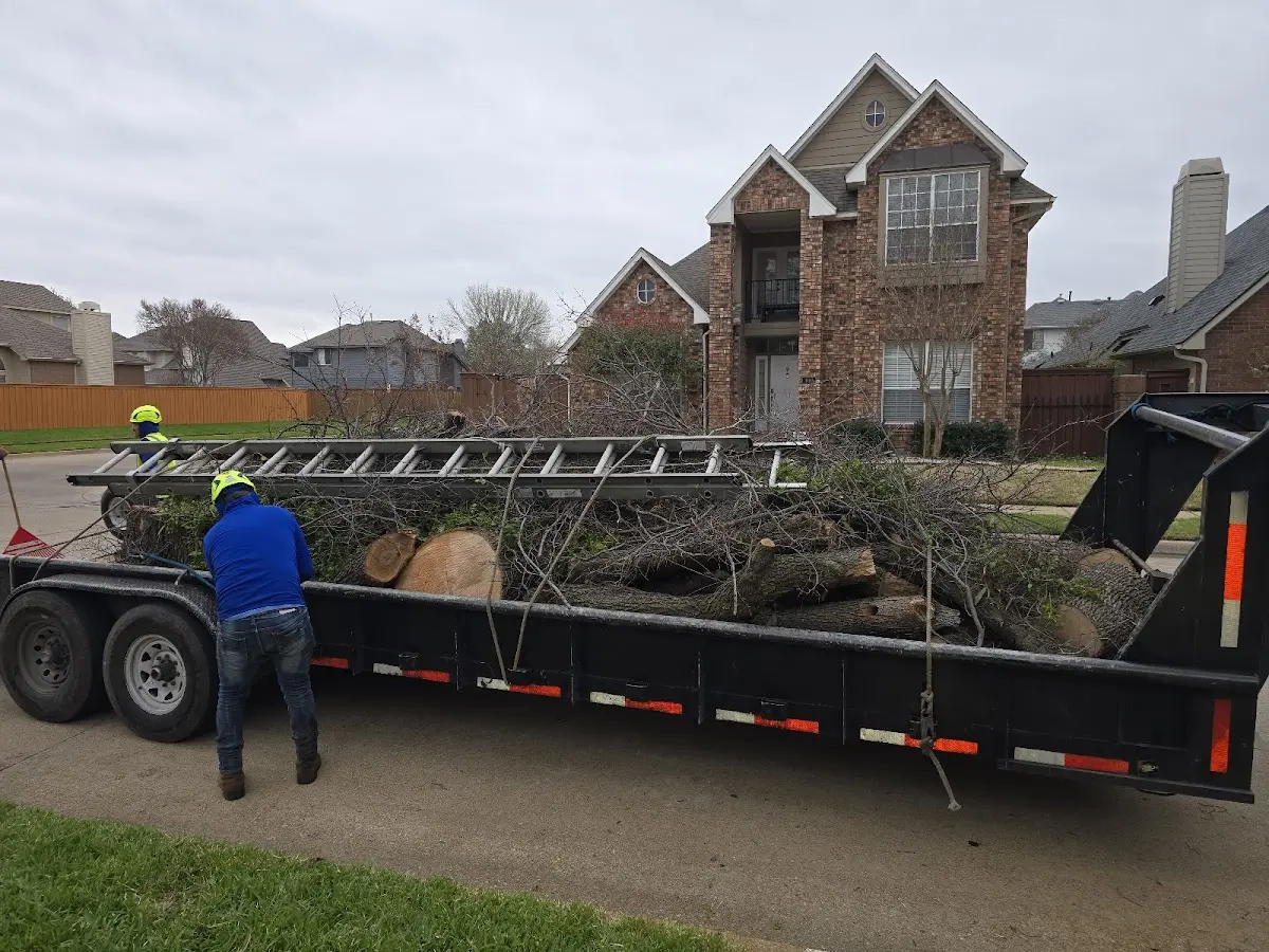 Expert Crown Reduction with proper safety equipment in Rotan